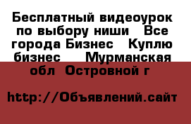 Бесплатный видеоурок по выбору ниши - Все города Бизнес » Куплю бизнес   . Мурманская обл.,Островной г.